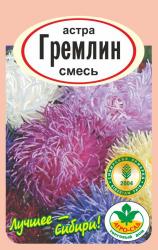 астра ГРЕМЛИН СМЕСЬ / АГРО САД / НОВИНКА !!!